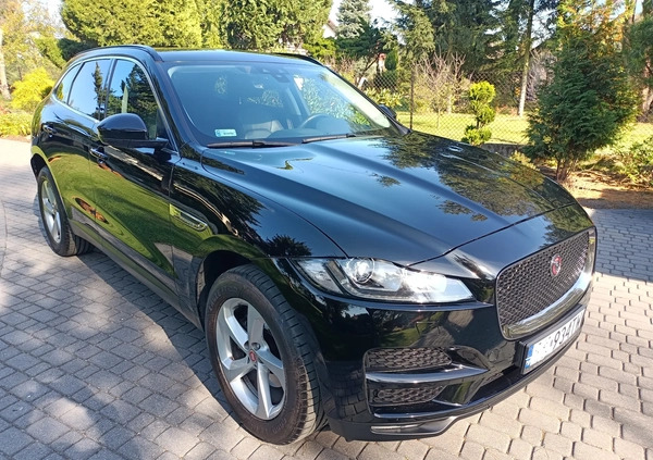 Jaguar F-Pace cena 126500 przebieg: 87500, rok produkcji 2019 z Brzesko małe 29